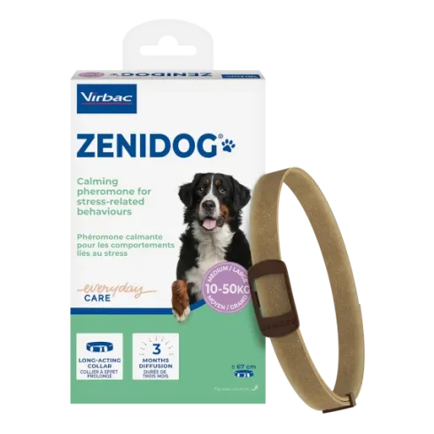 Zenidog Halsbånd